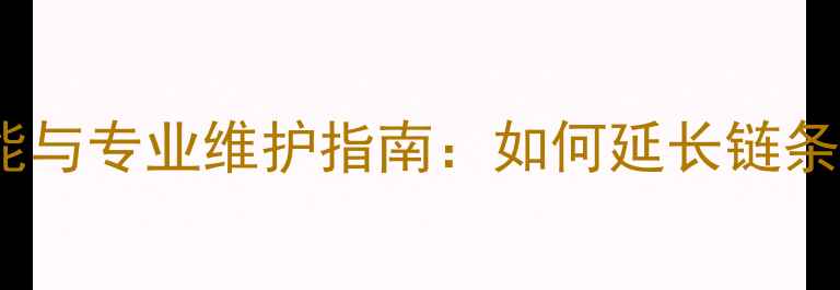 公路车后轮导轮功能与专业维护指南如何延长链条寿命提升骑行效率