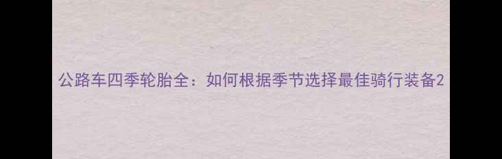 公路车四季轮胎全如何根据季节选择最佳骑行装备