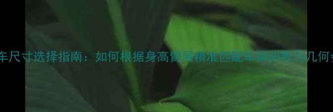 公路车尺寸选择指南如何根据身高臂展精准匹配车架码数与几何参数