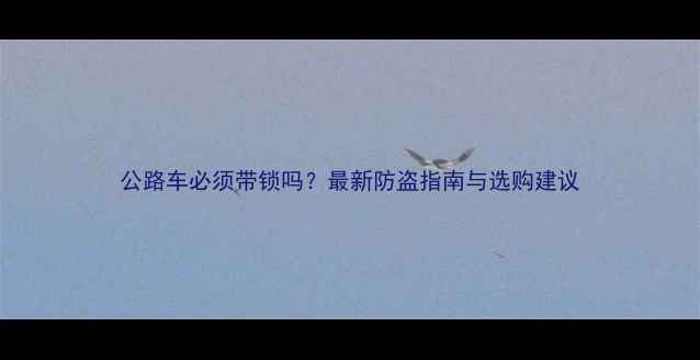 公路车必须带锁吗最新防盗指南与选购建议