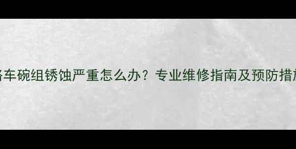 公路车碗组锈蚀严重怎么办专业维修指南及预防措施全