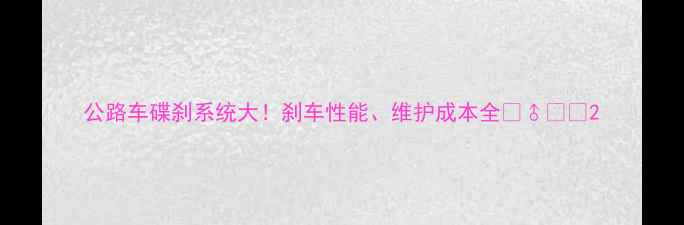 公路车碟刹系统大刹车性能维护成本全