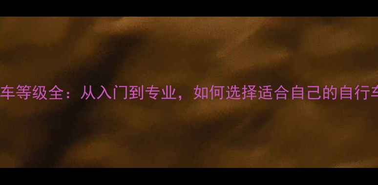 公路车等级全从入门到专业如何选择适合自己的自行车