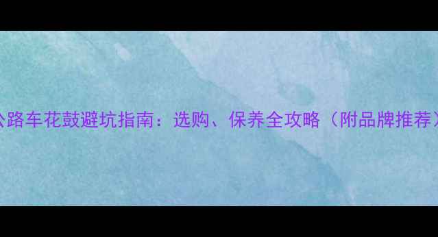 公路车花鼓避坑指南选购保养全攻略附品牌推荐