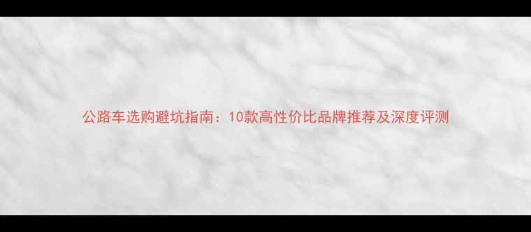 公路车选购避坑指南10款高性价比品牌推荐及深度评测