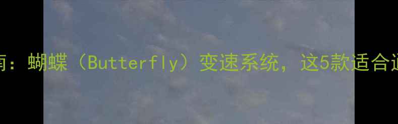 公路车选购避坑指南蝴蝶Butterfly变速系统这5款适合通勤族与运动爱好者