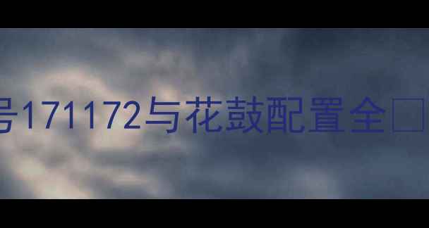 公路车避震系统终极指南型号171172与花鼓配置全如何选到适配你的骑行体验