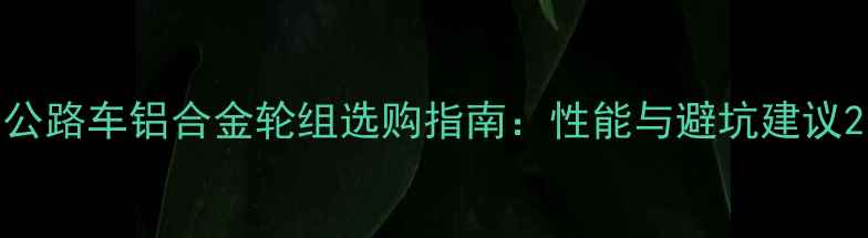 公路车铝合金轮组选购指南性能与避坑建议