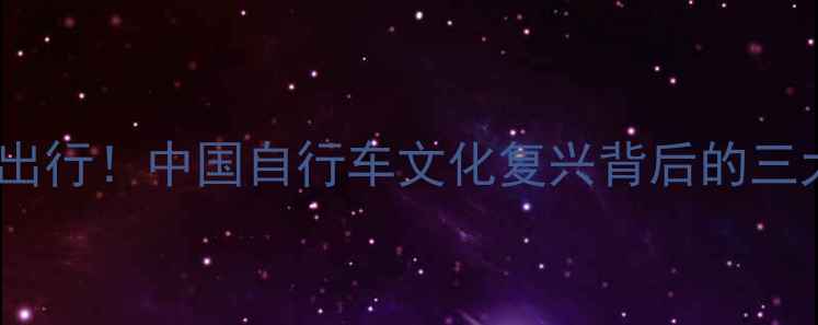 共享单车引领低碳出行中国自行车文化复兴背后的三大趋势与政策支持