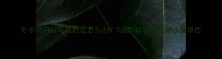 冬季骑自行车减震差怎么办5招教你轻松应对冰雪路面