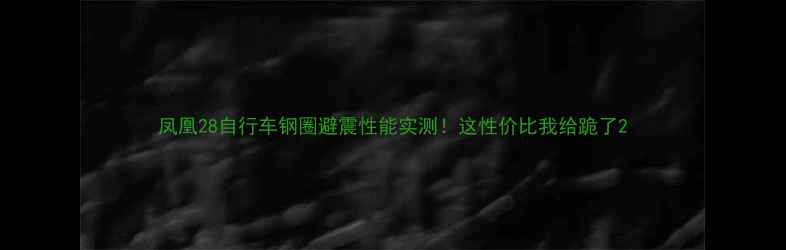 凤凰28自行车钢圈避震性能实测这性价比我给跪了