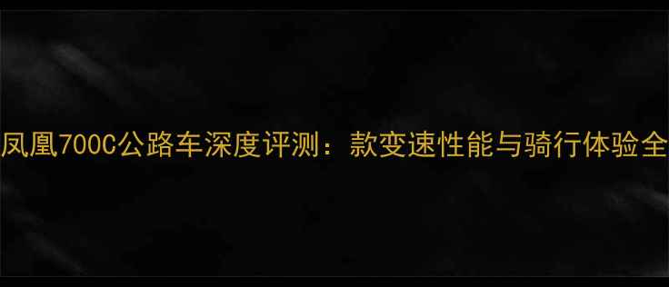 凤凰700C公路车深度评测款变速性能与骑行体验全