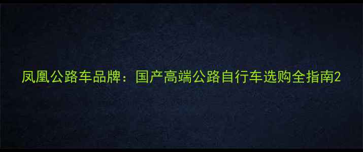 凤凰公路车品牌国产高端公路自行车选购全指南
