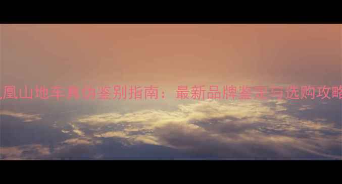 凤凰山地车真伪鉴别指南最新品牌鉴定与选购攻略