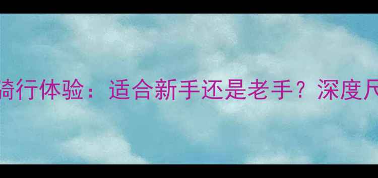 北京29寸山地车骑行体验适合新手还是老手深度尺寸与性能的关系
