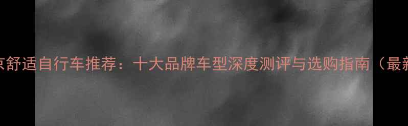 北京舒适自行车推荐十大品牌车型深度测评与选购指南最新