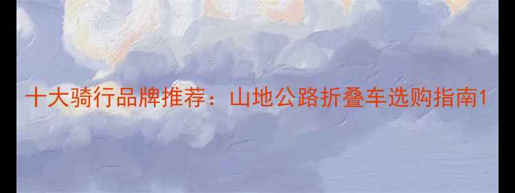 十大骑行品牌推荐山地公路折叠车选购指南