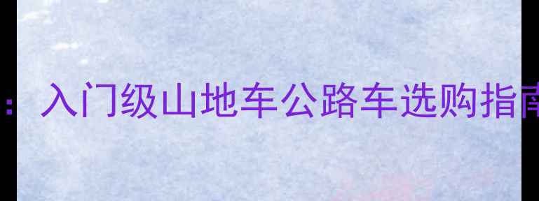 十大高性价比自行车推荐入门级山地车公路车选购指南省下千元预算不踩坑