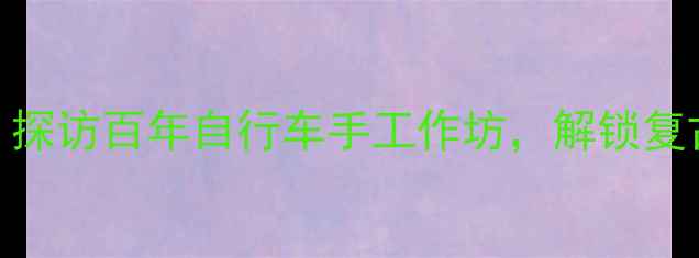 南宁老厂传奇探访百年自行车手工作坊解锁复古自行车的秘密