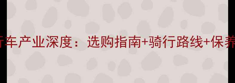 南平邵武自行车产业深度选购指南骑行路线保养技巧全攻略