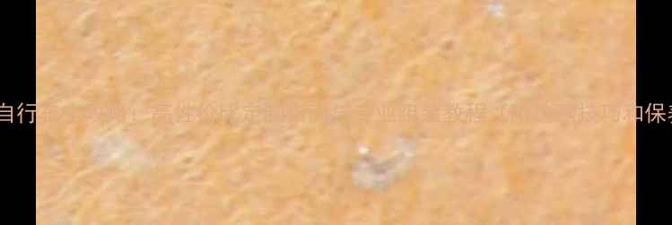 原厂组装自行车全攻略高性价比定制指南与专业组装教程附选购技巧和保养秘籍