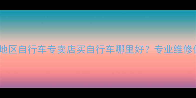 厦门闽南地区自行车专卖店买自行车哪里好专业维修保养攻略