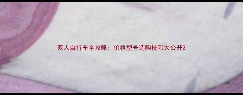 双人自行车全攻略价格型号选购技巧大公开