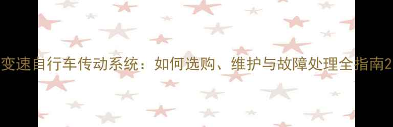 变速自行车传动系统如何选购维护与故障处理全指南