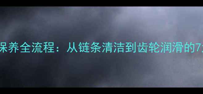 变速自行车保养全流程从链条清洁到齿轮润滑的7大关键步骤