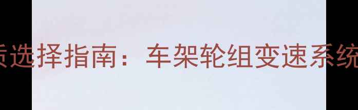 变速自行车材质选择指南车架轮组变速系统全与选购攻略