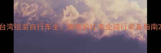 台湾组装自行车全高性价比专业骑行装备指南