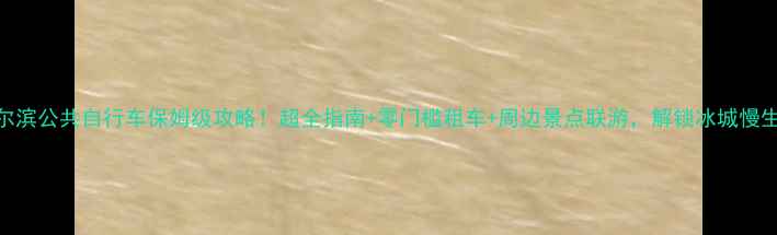 哈尔滨公共自行车保姆级攻略超全指南零门槛租车周边景点联游解锁冰城慢生活