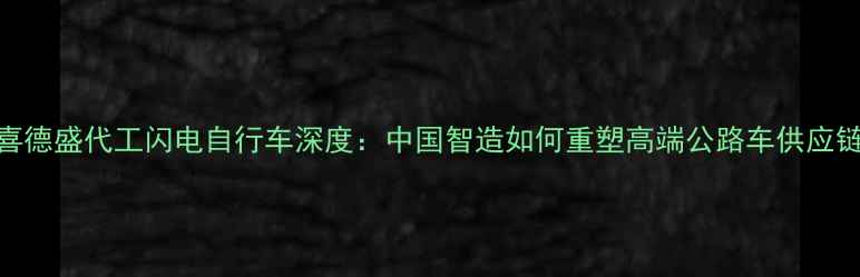 喜德盛代工闪电自行车深度中国智造如何重塑高端公路车供应链