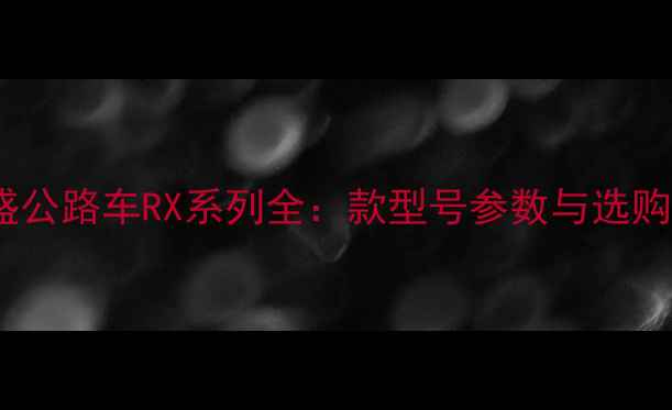 喜德盛公路车RX系列全款型号参数与选购指南