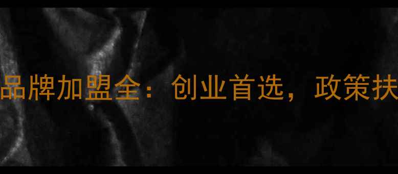 喜德盛自行车品牌加盟全创业首选政策扶持高回报