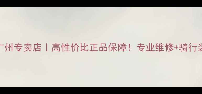 喜德盛自行车广州专卖店高性价比正品保障专业维修骑行装备一站式购齐