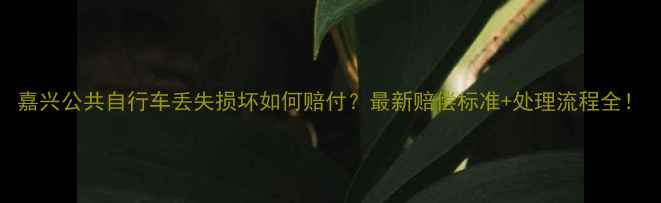 嘉兴公共自行车丢失损坏如何赔付最新赔偿标准处理流程全