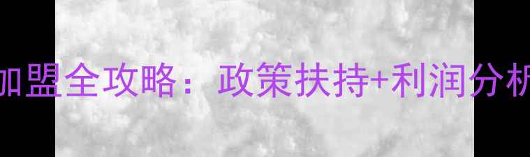 国产自行车加盟全攻略政策扶持利润分析选址指南