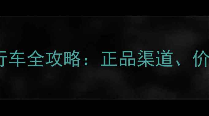在美国购买闪电自行车全攻略正品渠道价格对比与保养指南