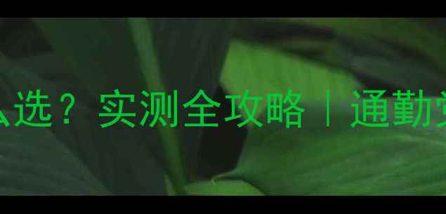 城市折叠车怎么选实测全攻略通勤党必备神器