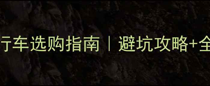 大行变速自行车选购指南避坑攻略全参数
