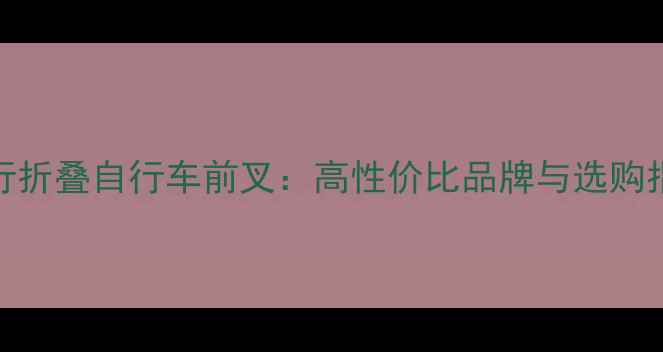 大行折叠自行车前叉高性价比品牌与选购指南