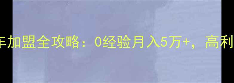 大行折叠自行车加盟全攻略0经验月入5万高利润经营秘籍