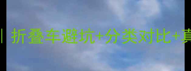 大行折叠自行车选购指南折叠车避坑分类对比真实体验附参数表