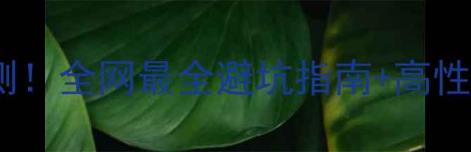 大行自行车实测全网最全避坑指南高性价比车型推荐