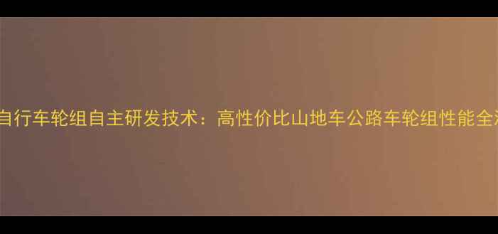 大行自行车轮组自主研发技术高性价比山地车公路车轮组性能全测评