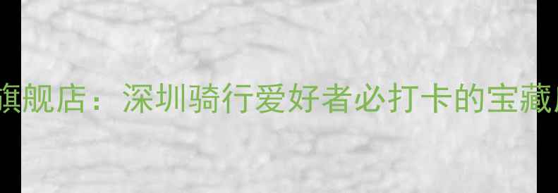 大行自行车龙岗旗舰店深圳骑行爱好者必打卡的宝藏店铺与选购指南