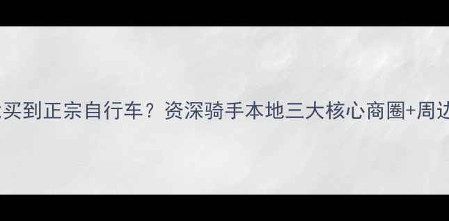 天津哪里能买到正宗自行车资深骑手本地三大核心商圈周边隐藏市场