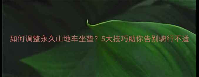 如何调整永久山地车坐垫5大技巧助你告别骑行不适