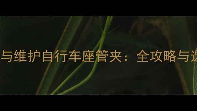 如何选择与维护自行车座管夹全攻略与选购指南